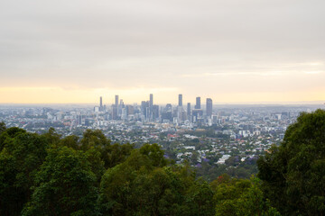 Fototapeta premium Brisbane skyline emerging from lush green forest at dawn