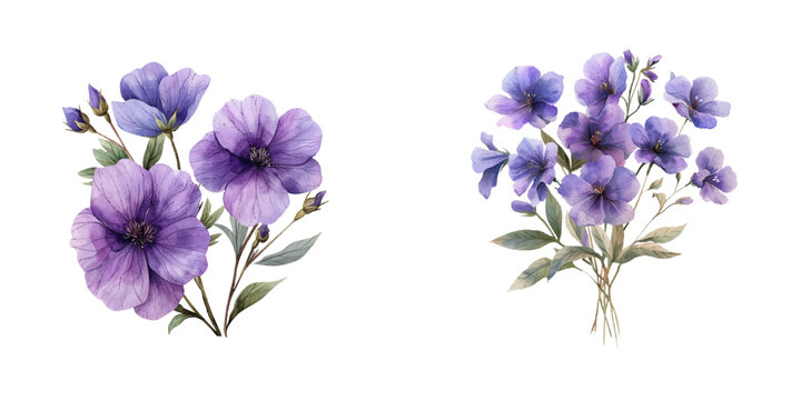 purple flowers watercolor vector illustration