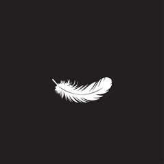 Obraz premium Minimalist White Feather on Black - Softness & Serenity