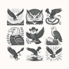 Black and White Eagle Illustration Collection Featuring Eagles in Nature, Hunting, and Unique Animal Scenes