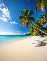 Sandy white beach with clear turquoise water and palm trees