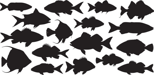 Black Silhouettes of Various Fish Species Vector Illustration Collection Aquatic Life Ocean Wildlife Marine Animals Sea Creatures Underwater World
