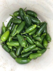 Freshly Picked Jalapeño Peppers in Bowl