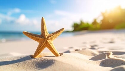 Starfish on a Tropical Beach at Sunset