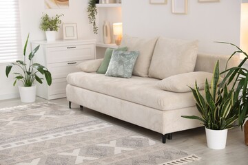Comfortable sofa and stylish rug in room. Interior design