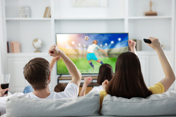 Football fans watching soccer match on TV set at home, back view