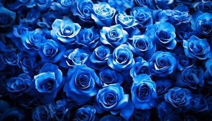 Enchanting blue roses create a harmonious atmosphere for special occasions.