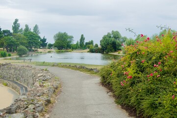 Birds on Cleethorpes Boating Lake