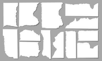 ripped torn paper set