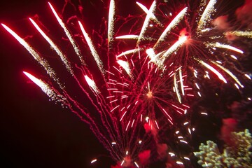 Experience the joy of vibrant red fireworks lighting up celebrations.