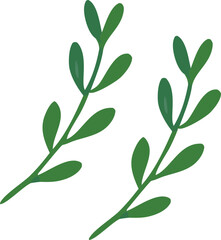 Two simple green botanical sprigs with oval leaves isolated on a clean white background representing nature and growth