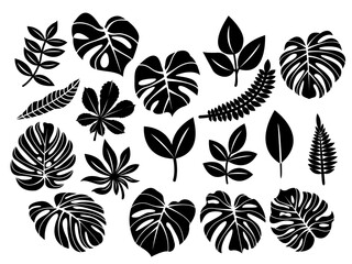 Set of leaves silhouette in difference type vector illustration, black leaf collection isolated on white background