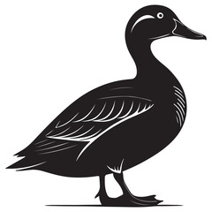 Silhouette black of a duck vector illustration design