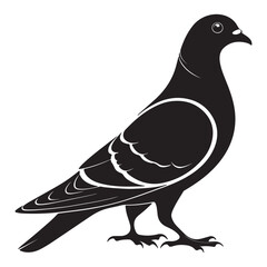 Silhouette black of a pigeon vector illustration design