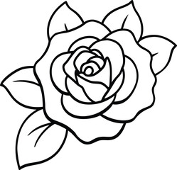 Hand drawn vintage rose with detailed petals and leaves in classic style line art