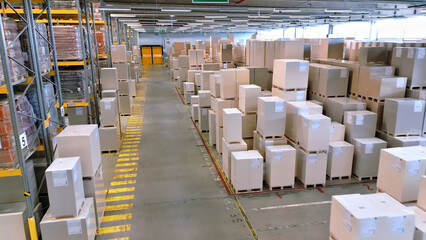 In a vast warehouse, industrial operators arrange towering boxes, symbolizing global supply chains. Each pallet represents efficiency and precision, highlighting unseen labor connecting markets.