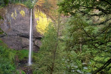 Latourell Falls, Columbia Gorge, Oregon, July 2024