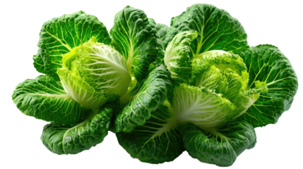 Fresh Cabbage Duo: Presenting two vibrant cabbages with tightly packed, textured leaves, embodying freshness and wholesome, ready to enhance any culinary theme or health-related project.