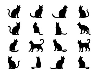 Black Cat Silhouette Set with Cute Animal Outlines
