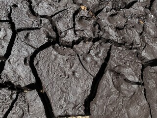 dry land cracks