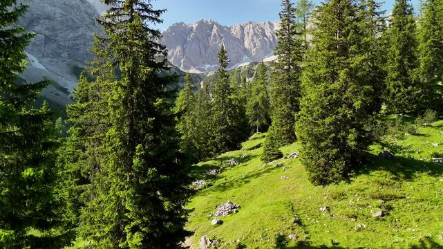 Aerial drone view of hikers on a forest trail in the Alps, heading to Coburger H&uuml;tte near Seebensee and Drachensee on a sunny summer day.