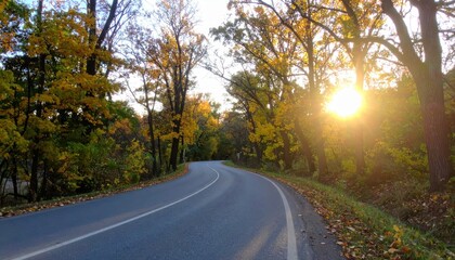 Fototapeta premium Winding road through colorful trees with bright sunlight