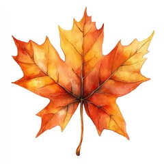A stunning orange and yellow leaf captures the essence of autumn's beauty and transition