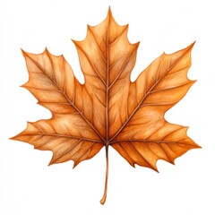 Autumn leaf showcases stunning textures and colors, embodying the season's charm