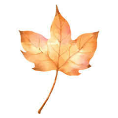 watercolor dry leaves