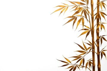 Elegant Bamboo Stalks with Leaves on White Background for Serenity