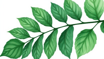 Lush Green Leafy Branch with Detailed Textures and Vibrant Colors