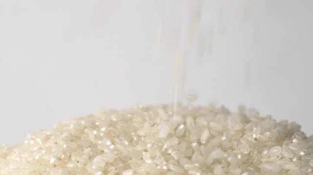 Macro video of korean rice. Close up of korean sushi rice on rotating disk.