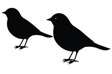 Set of black bird silhouettes