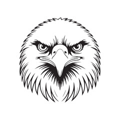 Line art illustration tattoo style of an eagle face (1)