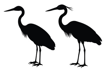 Silhouette of two herons with wings spread   white background.eps