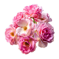 Pink roses bouquet floral arrangement beautiful flowers nature blossom, isolated on transparent background, perfect cutout, PNG