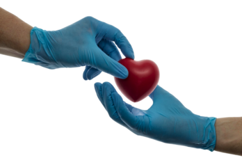 doctor hands giving a red heart, health care, organ donation, family life insurance, world heart day, world health day, praying concept.
