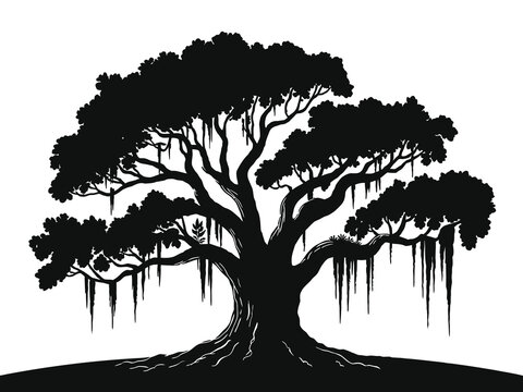 Spanish moss hanging from live oak tree silhouette vector


