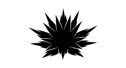 Black Silhouette of a Spiky Leafy Plant Showing Natural Growth Patterns