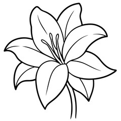Amaryllis  flower vector with a clean white background, perfect for digital, print, and graphic design projects.
