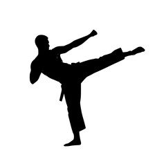 Dynamic Silhouette of a Martial Artist Performing a Powerful Side Kick in a Disciplined Stance