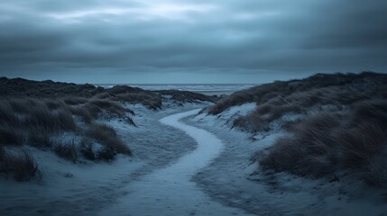 Sandy Path Leading to Ocean Under Dark Clouds