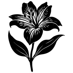 Alstroemeria  flower vector with a clean white background, perfect for digital, print, and graphic design projects.
