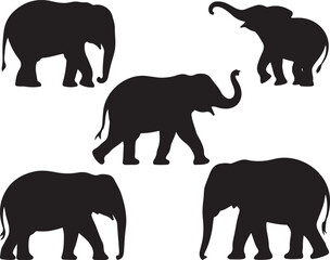 Walking Elephant with Raised Trunk Silhouette

Mother and Baby Elephant Vector Scene

Decorated Indian Elephant Silhouette Design

Elephant in Savannah Vector Art

Elephant Herd Silhouette at Sunset