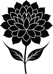 Bouvardia flower silhouette illustration