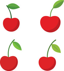 Cherry vector fresh cherry illustration.