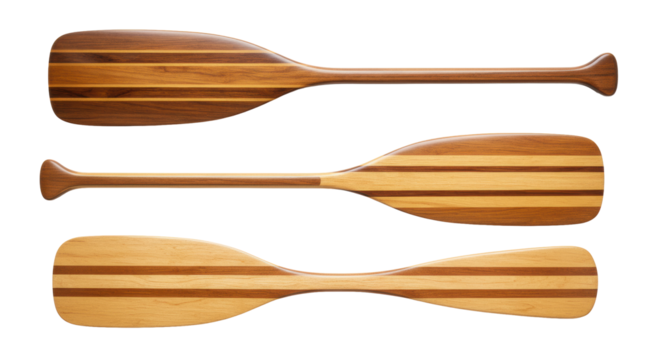 Three distinct wooden canoe and kayak paddles with varying dark, striped, and light wood grains, laid horizontally on a transparent background with copy space, top-down view. Concept of