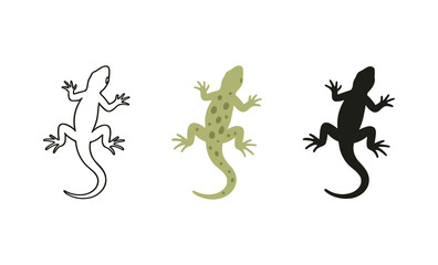 Colorful geckos silhouette and outline set for nature designs