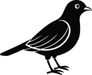 Obraz premium bird on white background.eps
