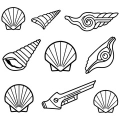 A wonderful visual guide to common seashell types, presented in a clean and clear vector illustration style